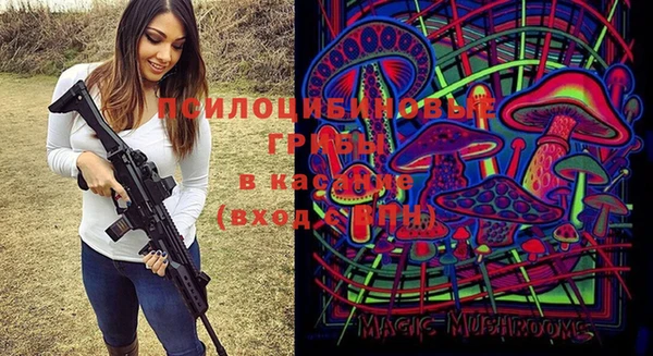кокс Аркадак