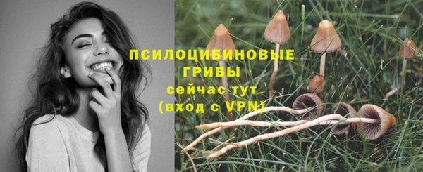 jwh Арсеньев