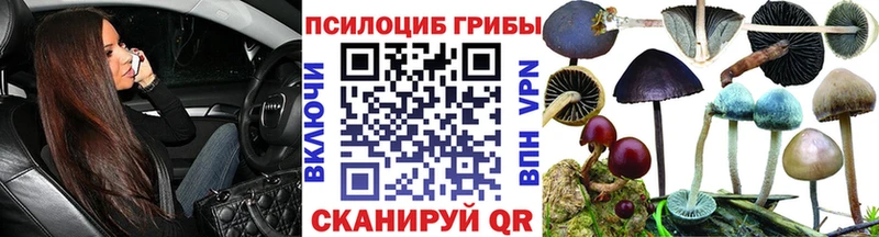 Галлюциногенные грибы Psilocybe  Купить  Саянск 
